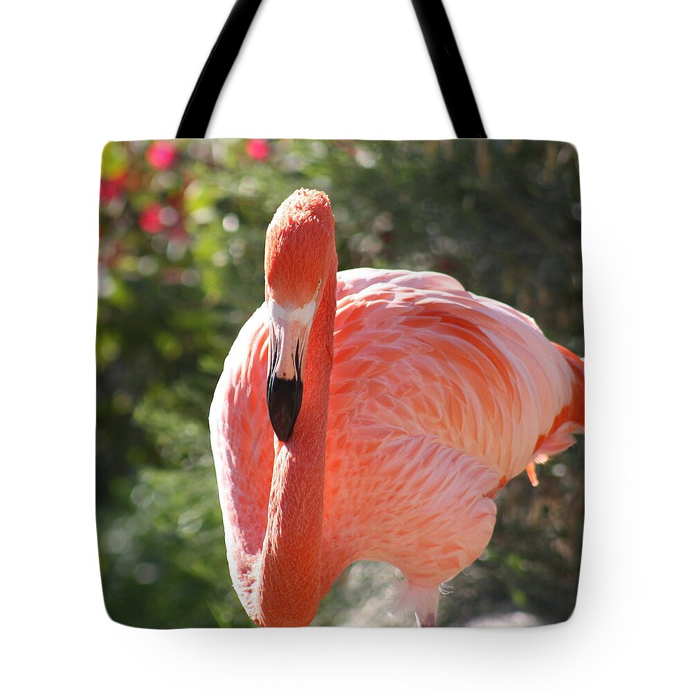 Flamingo Tote Bag featuring the photograph Flamingo by Kim Galluzzo Wozniak