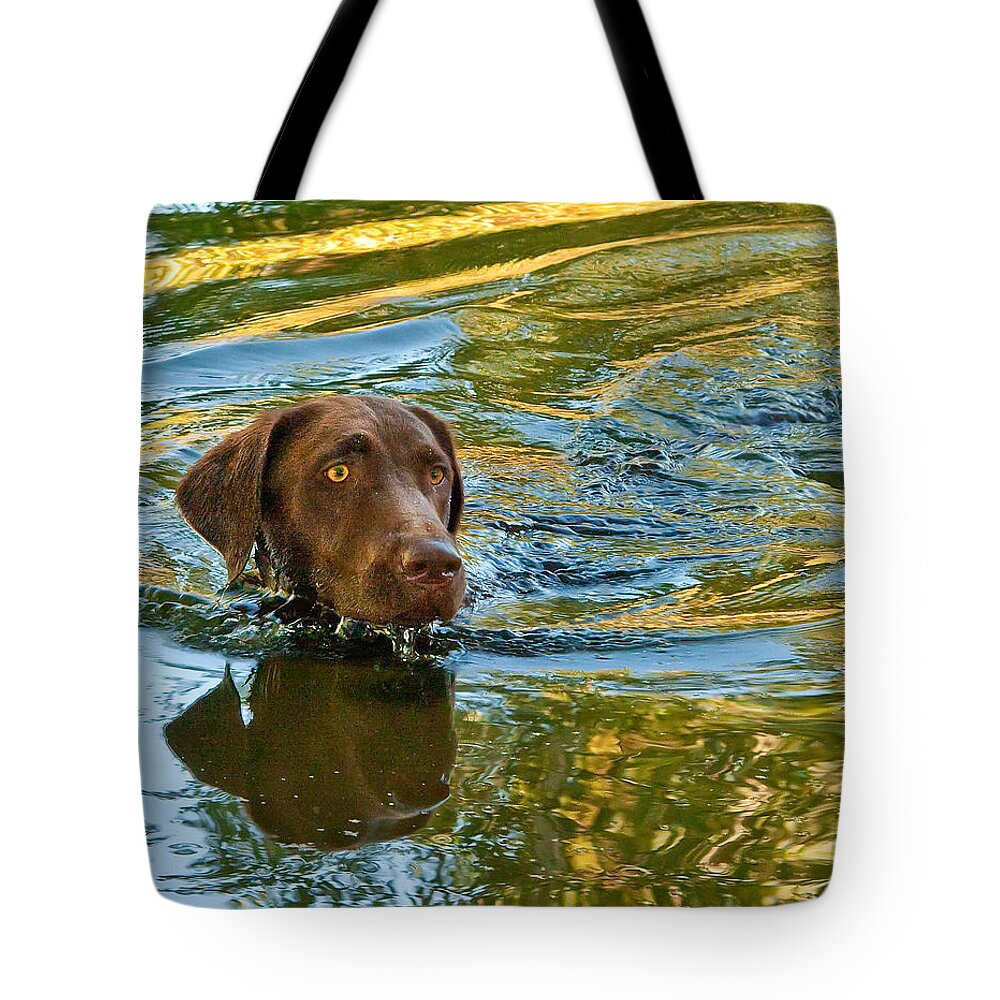 Animals Tote Bag featuring the photograph Floating head by Jean Noren