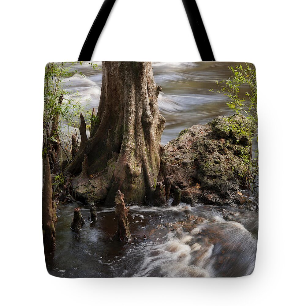 Rapids Tote Bag featuring the photograph Florida Rapids by Steven Sparks