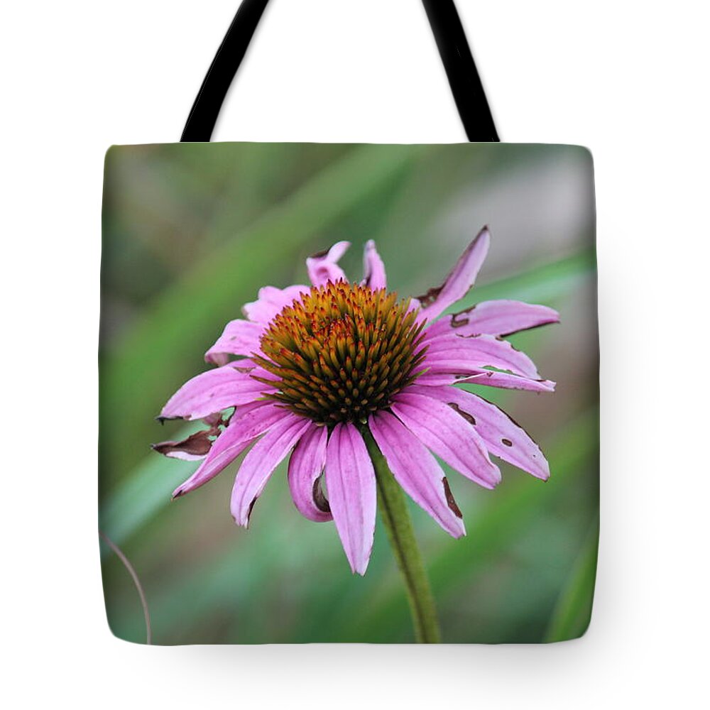 Flower Tote Bag featuring the photograph Flower at Waterfall Glen Forest Preserve by Peter Ciro