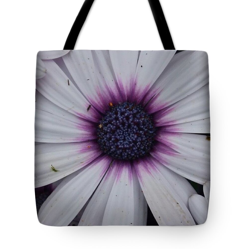 Flower Tote Bag featuring the photograph Flower With A Purple Heart by Justin Connor