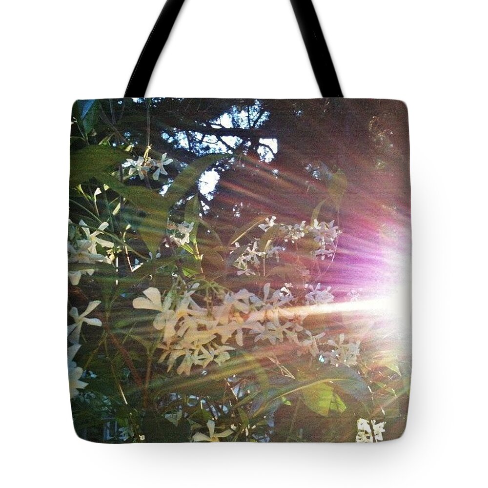 Hubflowers Tote Bag featuring the photograph Flowering Jasmine Evening Sunlight by Anna Porter