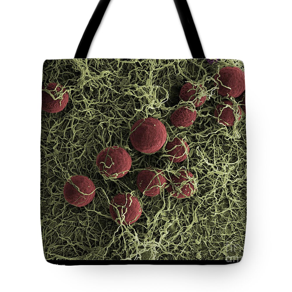 Design Tote Bag featuring the photograph Flowers, Digital Streak Image by Ted Kinsman
