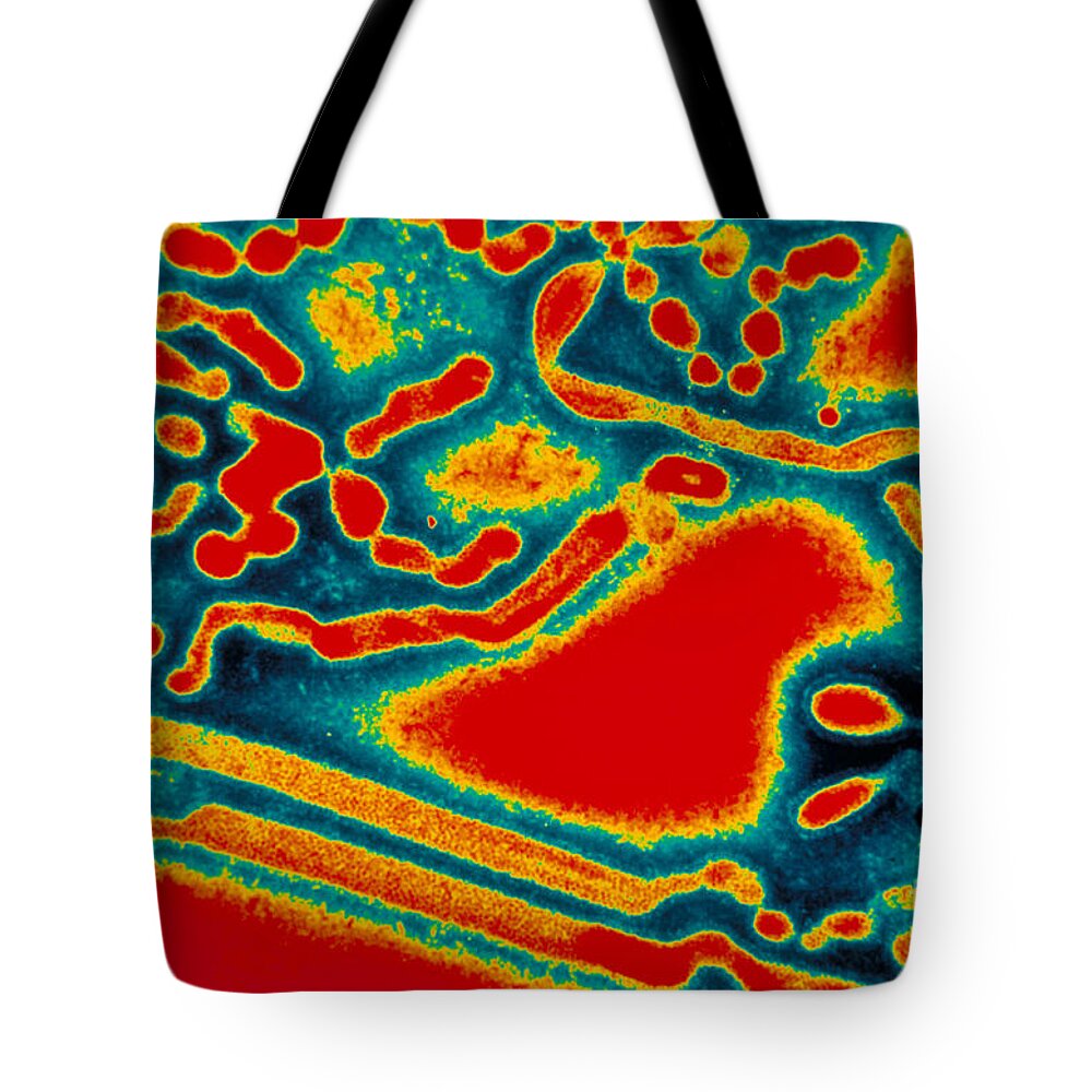 Influenza A Tote Bag featuring the photograph Flu Virus by Science Source