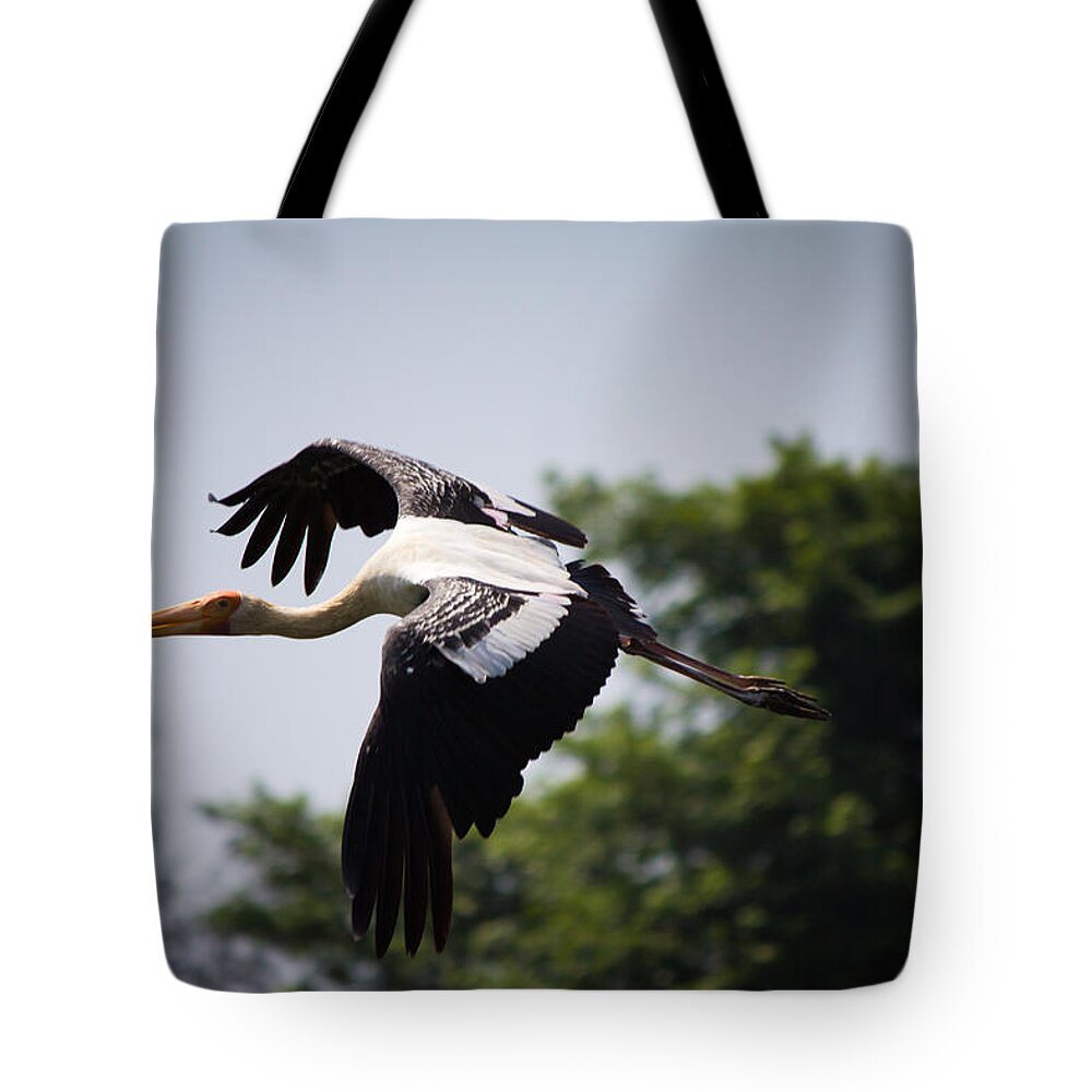 Fly Tote Bag featuring the photograph Fly free by SAURAVphoto Online Store