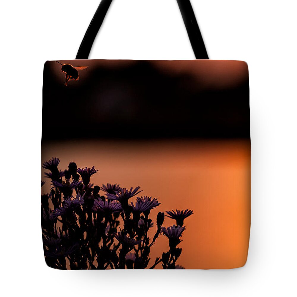 Flower Bee Lake River Water Sun Sunset Landscape Shimmer Reflect Buzz Rochester Minnesota Midwest Honey Pollen Orange Purple Tote Bag featuring the photograph Flying Home by Tom Gort
