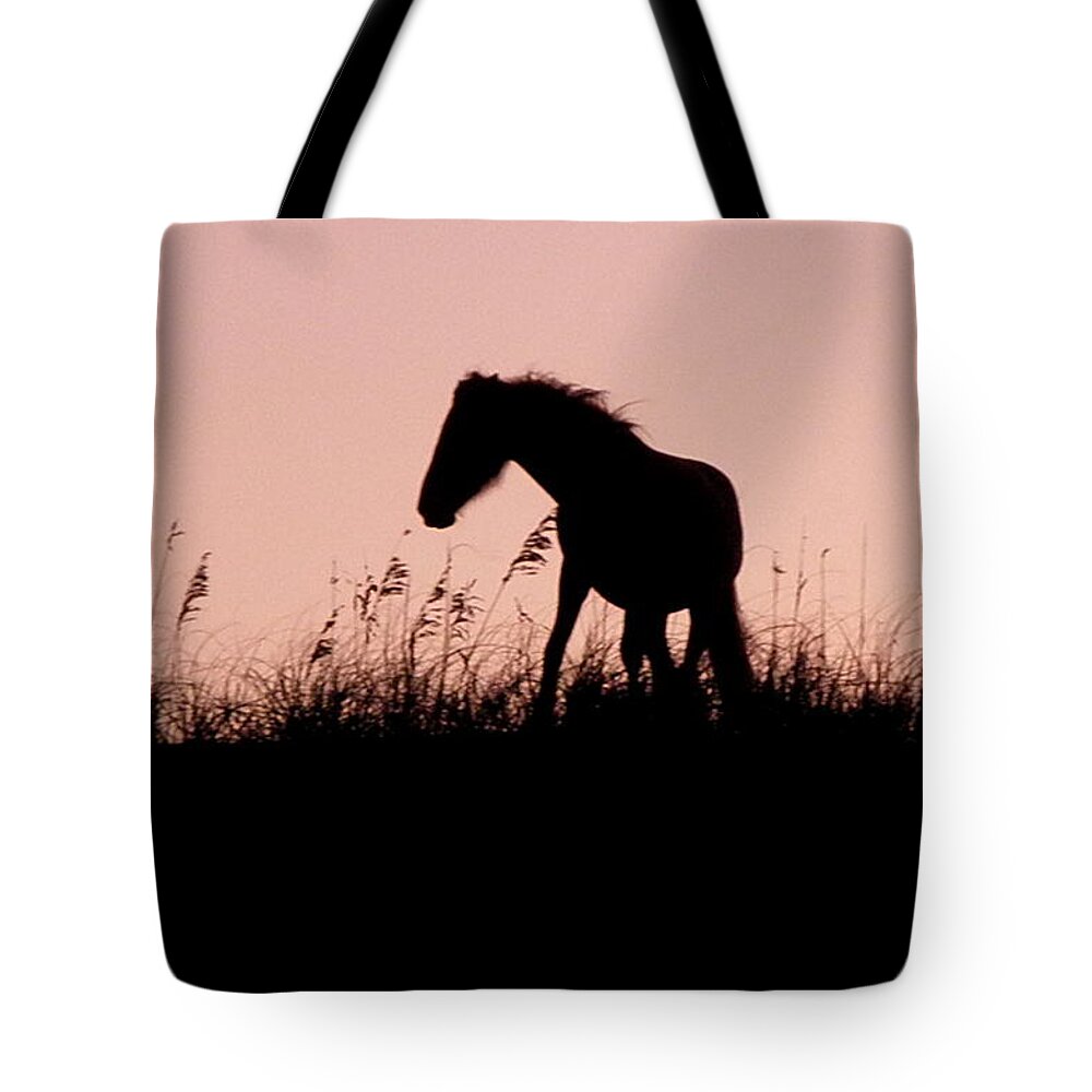 Foal Tote Bag featuring the photograph Foal At Sunset by Kim Galluzzo