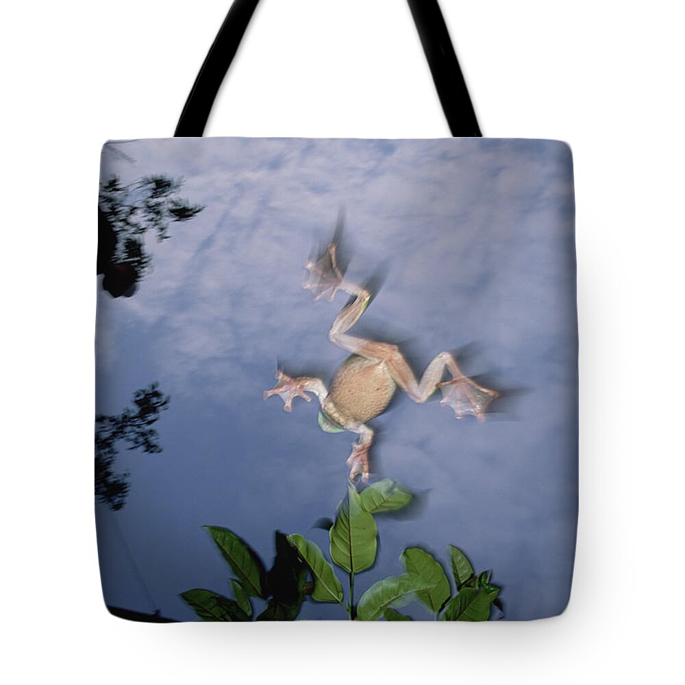 00116103 Tote Bag featuring the photograph Foam Nest Tree Frog by Mark Moffett