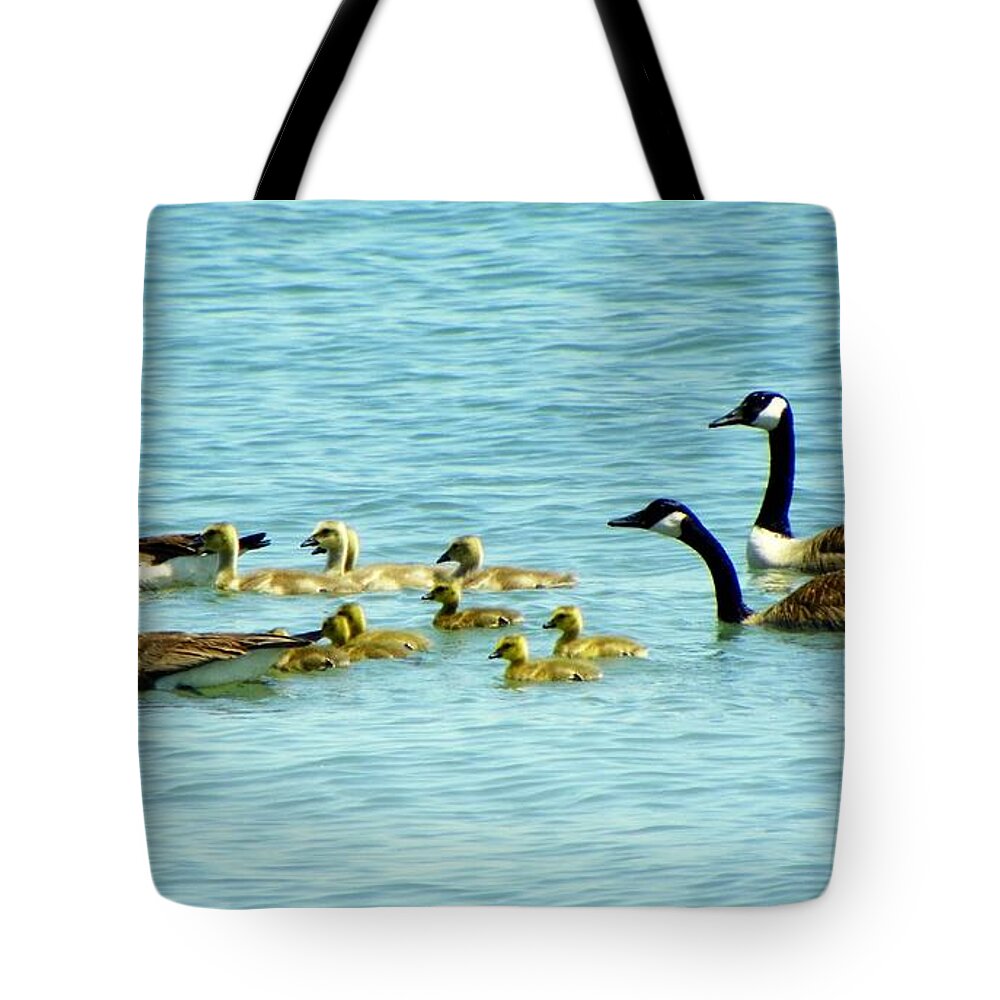 Birds Tote Bag featuring the photograph Follow the Leader by Karen Wiles