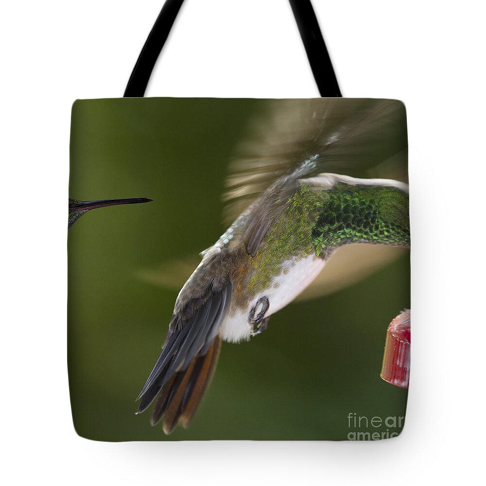 Hummingbird Tote Bag featuring the photograph Follow-up by Heiko Koehrer-Wagner
