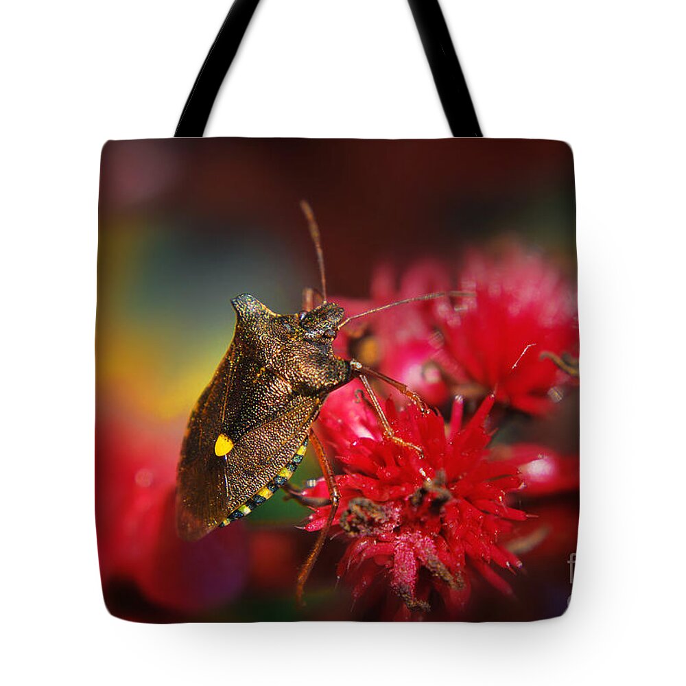 Yhun Suarez Tote Bag featuring the photograph Forest Bug - Pentatoma Rufipes by Yhun Suarez