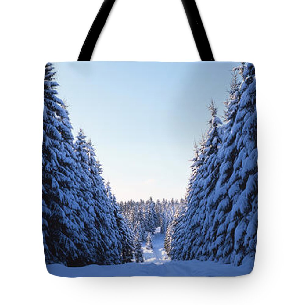 Snow Tote Bag featuring the photograph Forest lane in winter by Ulrich Kunst And Bettina Scheidulin