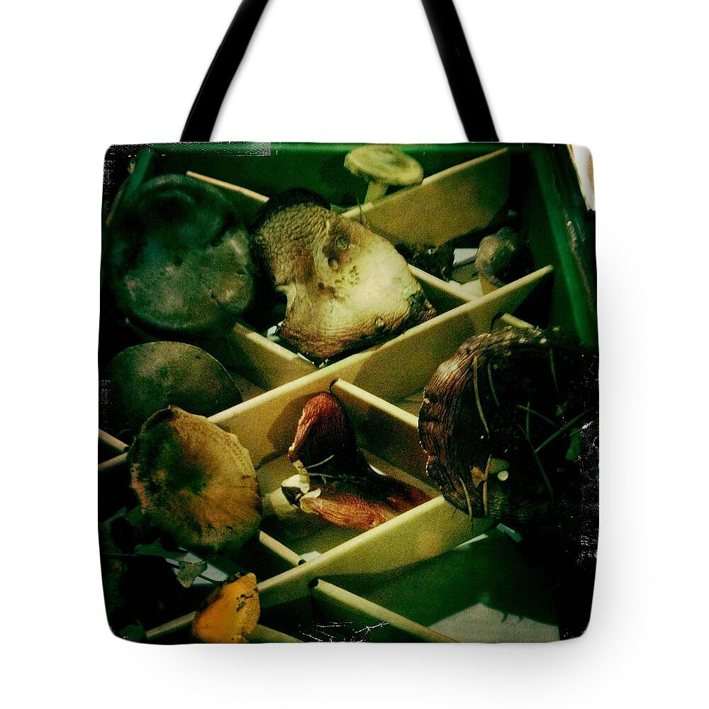 Mushrooms Tote Bag featuring the photograph Forest Ranch Mushrooms by Suzanne Lorenz