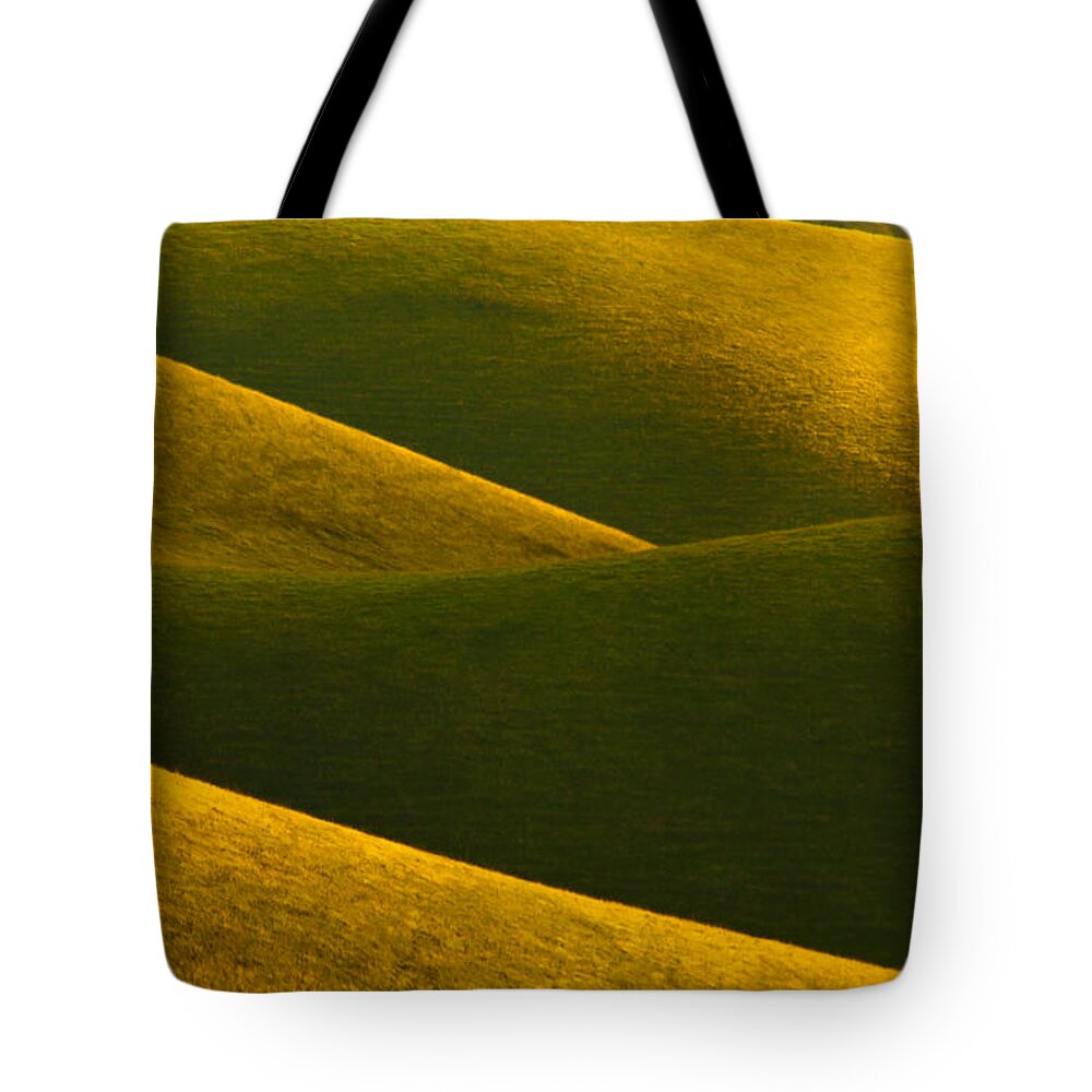 Landscape Tote Bag featuring the photograph Four Curves Two Hundred Trillion Blades Of Grass And One Cow A Natural Abstract by Marc Crumpler