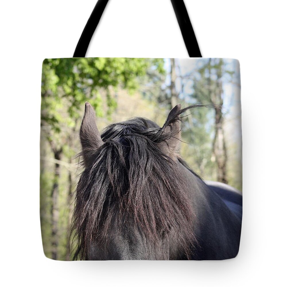 Friesian Horse Tote Bag featuring the photograph Friesian Beauty by Kim Galluzzo