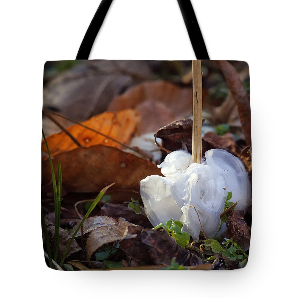 Frost Blossom Tote Bag featuring the photograph Frost Blossom Lost Valley by Michael Dougherty