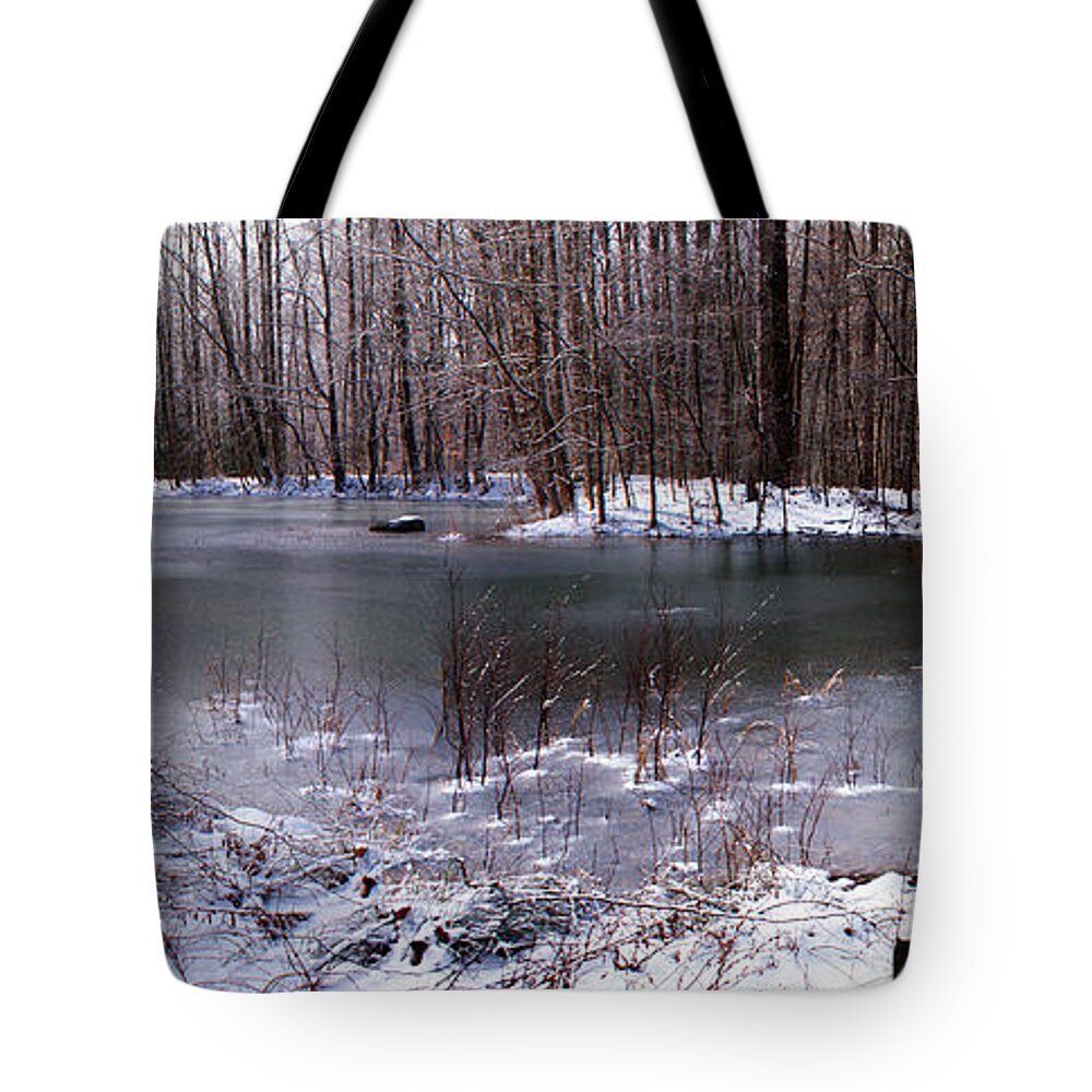 Pond Tote Bag featuring the photograph Frozen Head Pond by Paul Mashburn