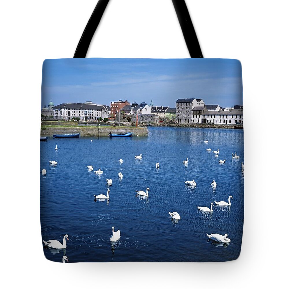 Bird Tote Bag featuring the photograph Galway, County Galway, Ireland by The Irish Image Collection 