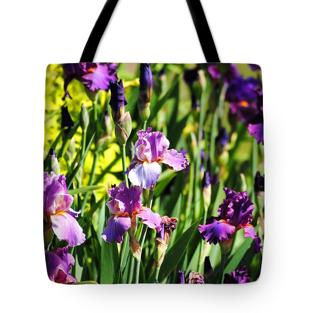 Beautiful Iris Tote Bag featuring the photograph Garden of Irises by Jai Johnson