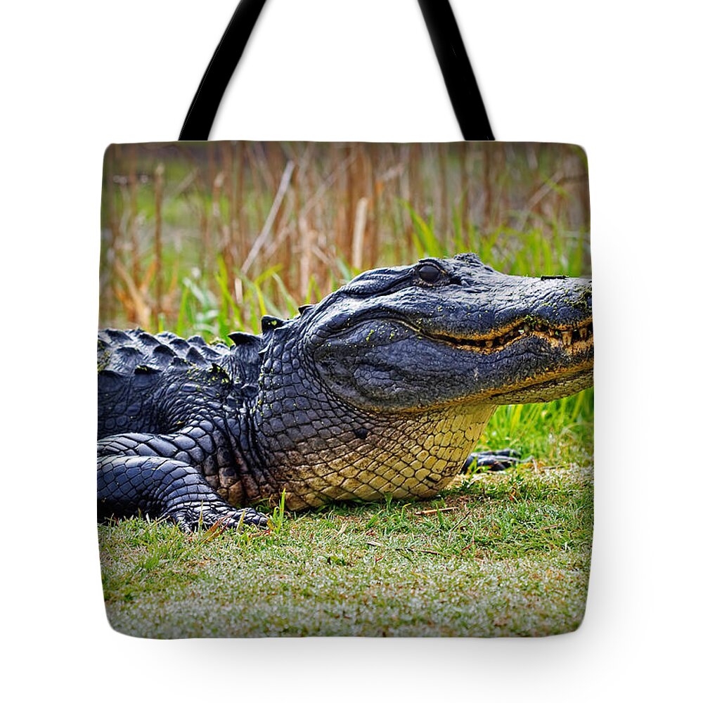 Alligator Tote Bag featuring the photograph Gator by Farol Tomson