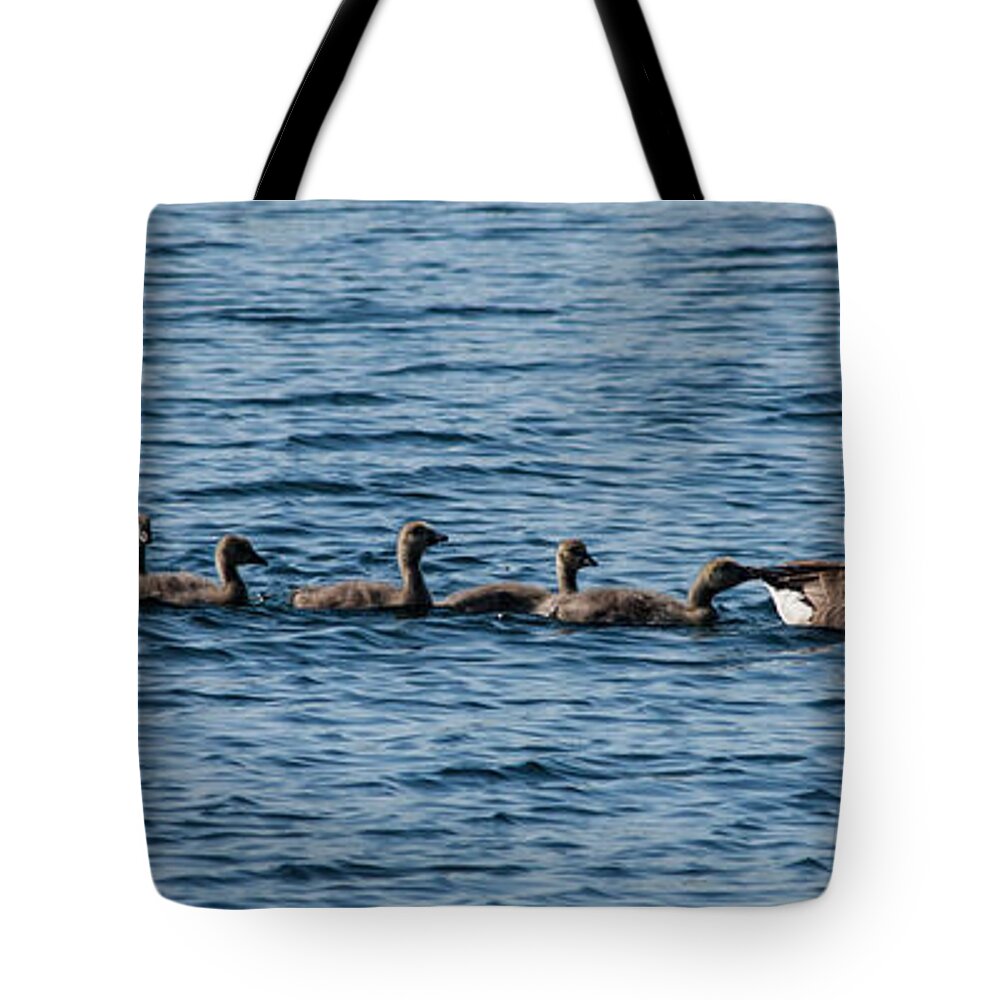 Geese Tote Bag featuring the photograph Geese Family by Dawn OConnor