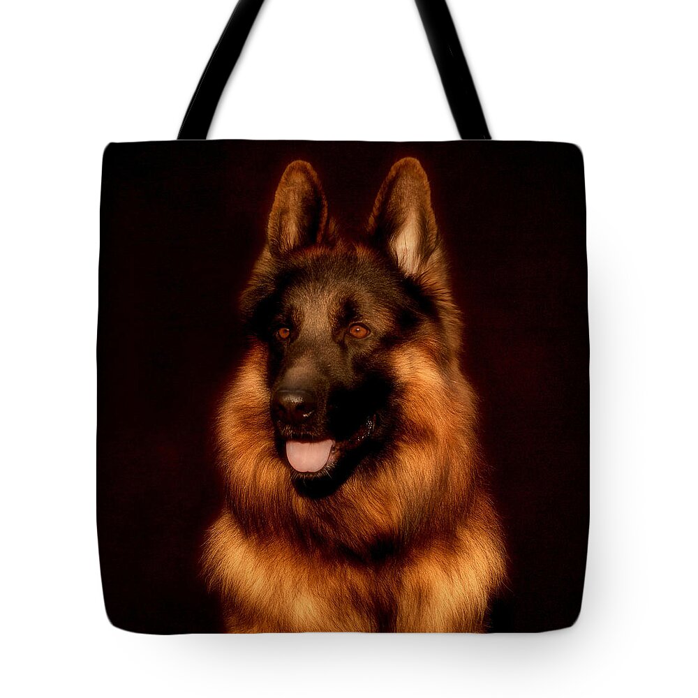 Dogs Tote Bag featuring the photograph German Shepherd Portrait by Sandy Keeton