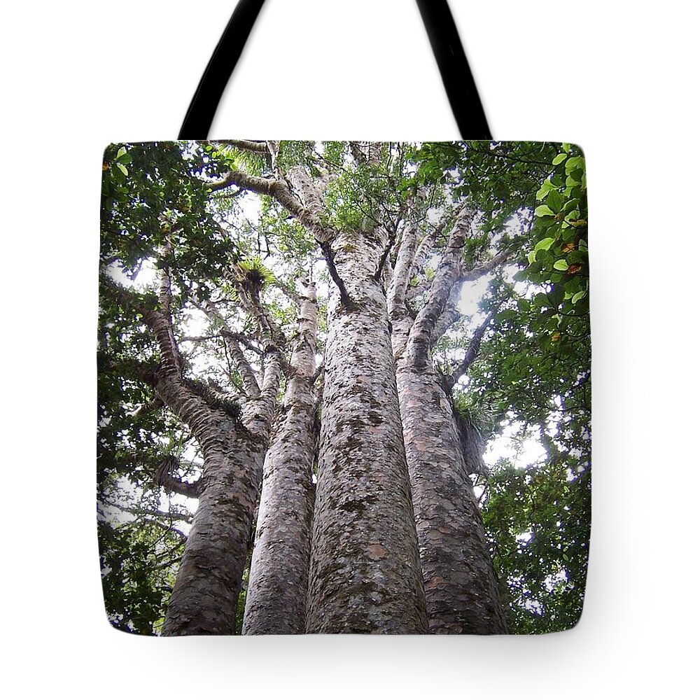 New Zealand Tote Bag featuring the photograph Giant Kauri Grove by Peter Mooyman