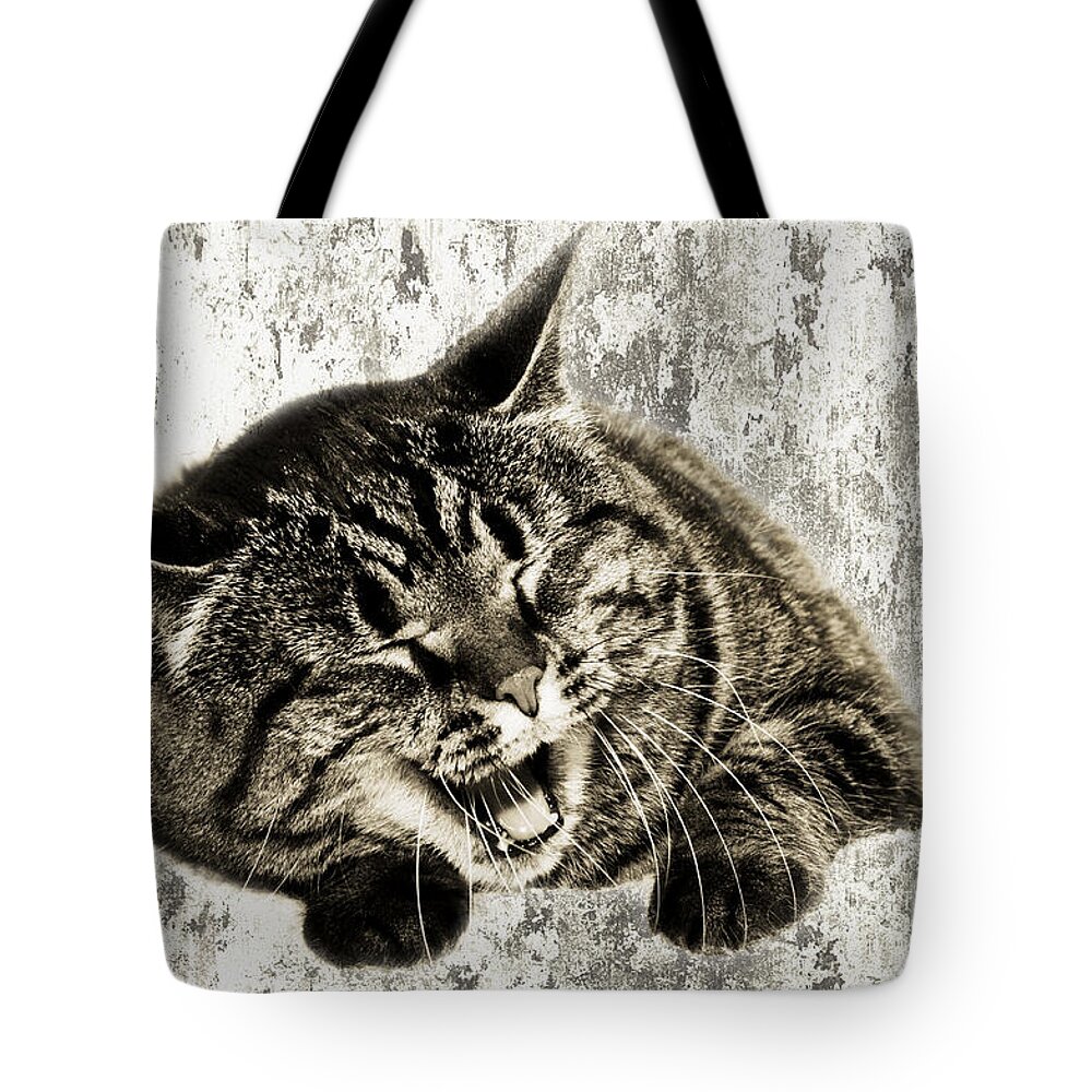 Fine Art Cat Tote Bag featuring the photograph Giggle Kitty by Andee Design