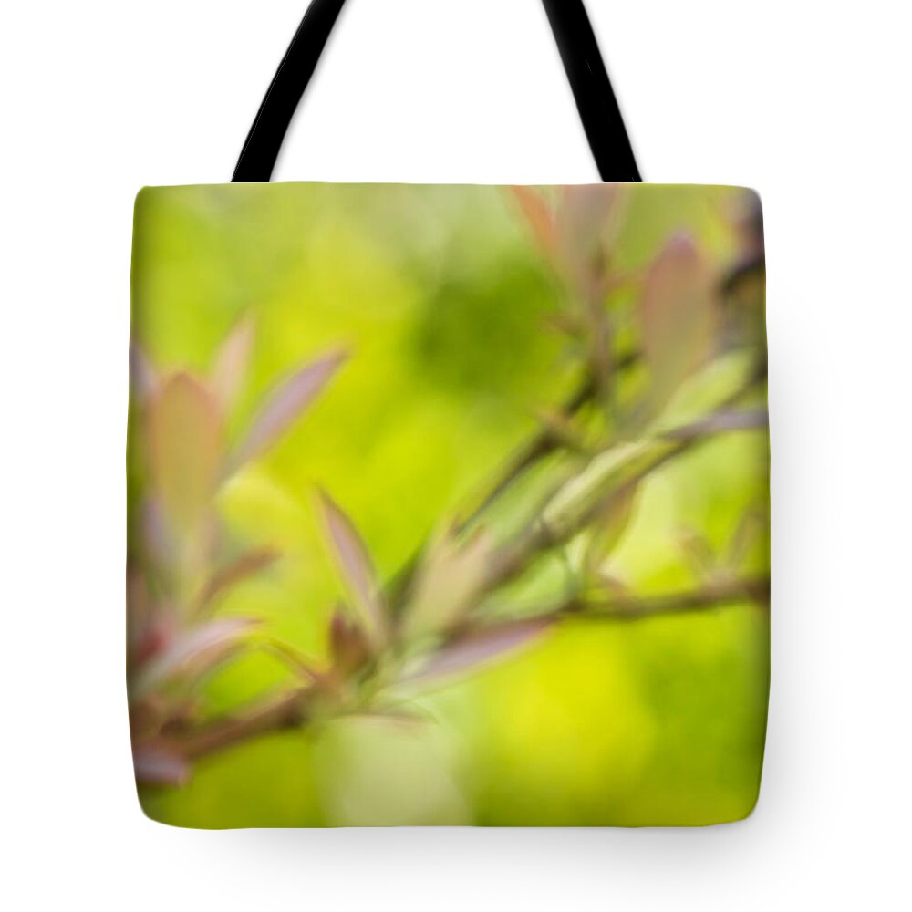  Tote Bag featuring the photograph Glimpse Of Spring by Heidi Smith