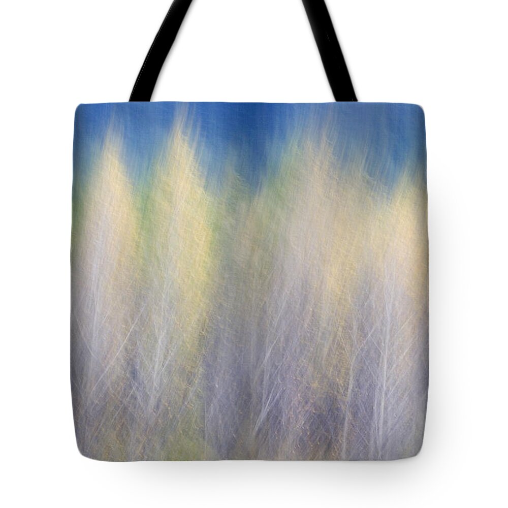Trees Tote Bag featuring the photograph Glimpse of Trees by Carol Leigh