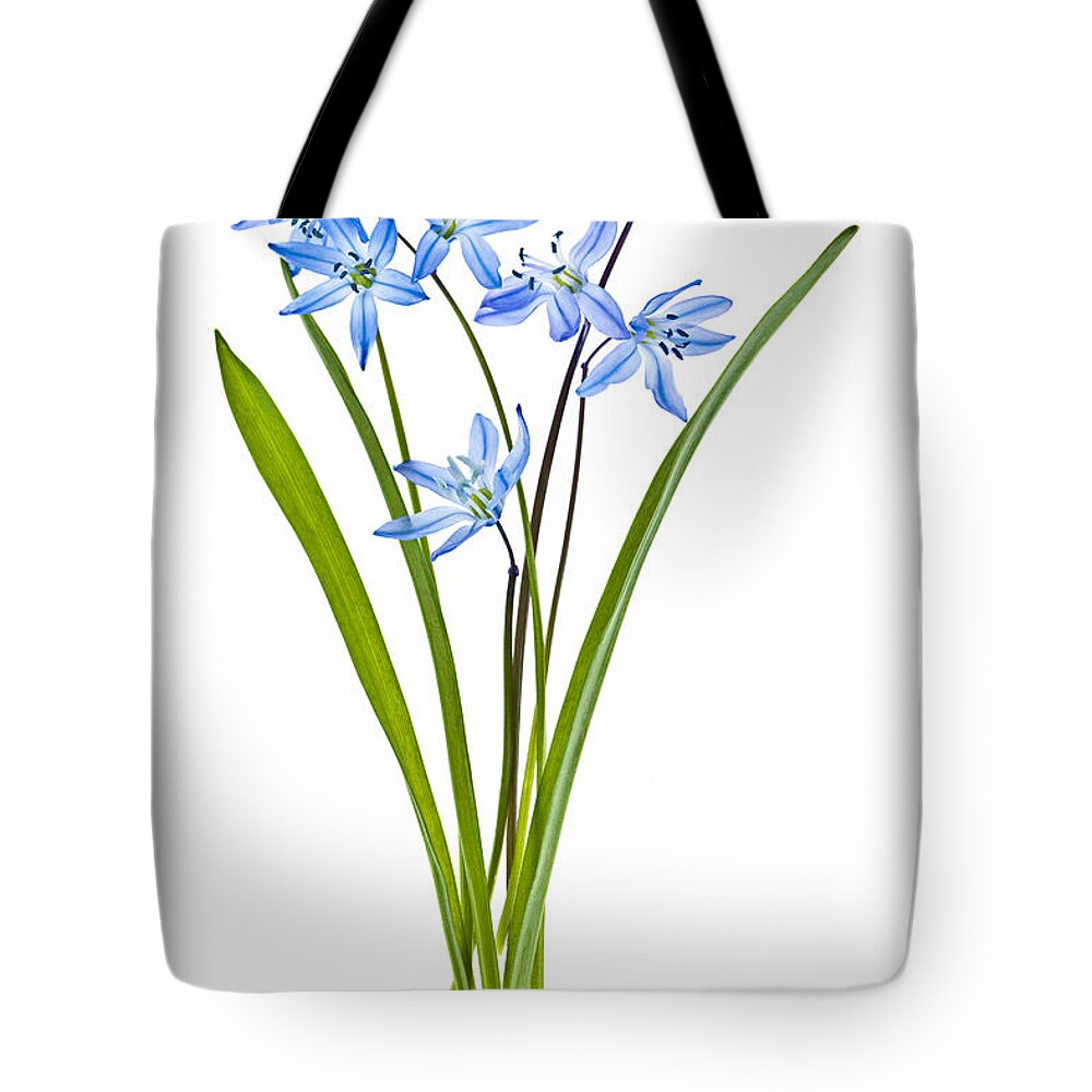 Flowers Tote Bag featuring the photograph Blue spring flowers by Elena Elisseeva