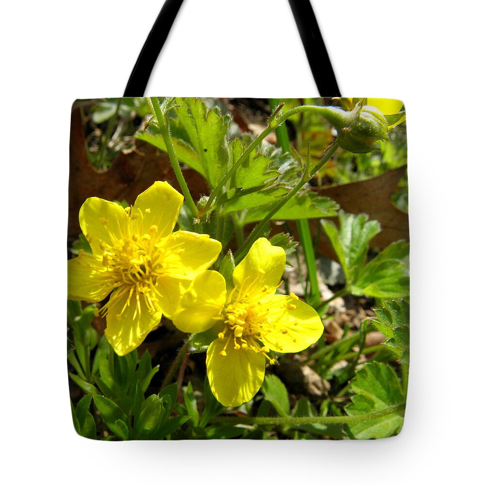 Flowers Tote Bag featuring the photograph Glowing Buttercups by Kim Galluzzo Wozniak