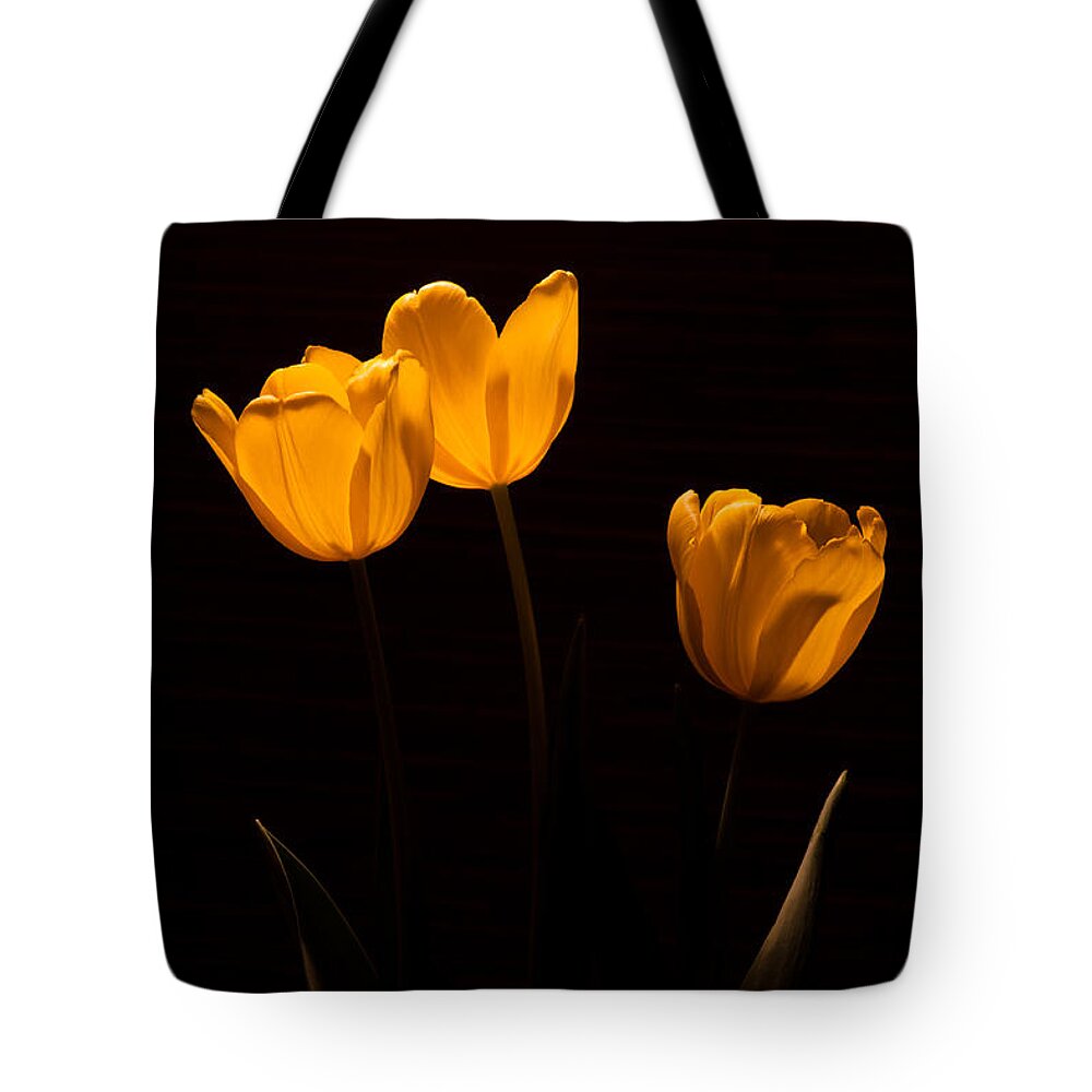 Flowers Tote Bag featuring the photograph Glowing Tulips by Ed Gleichman