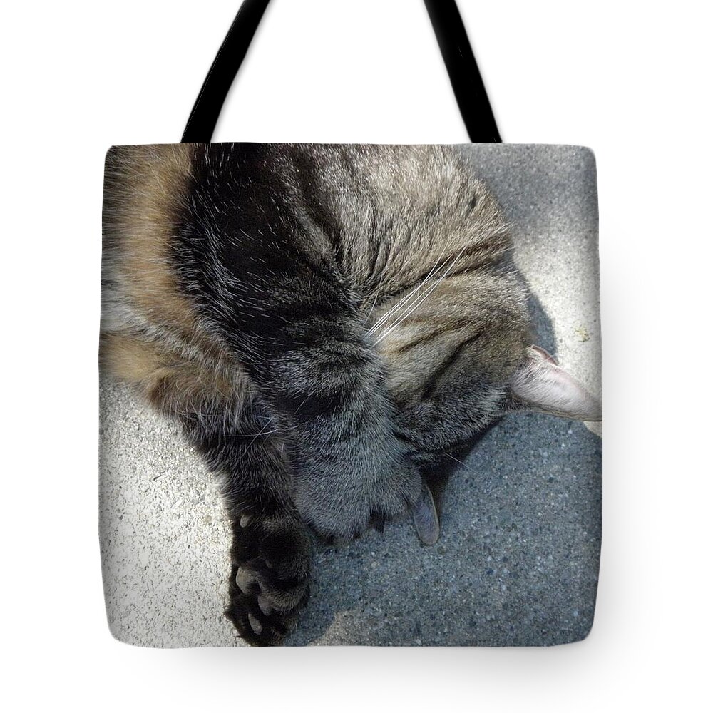 Cat Tote Bag featuring the photograph Go Away by Kim Galluzzo Wozniak