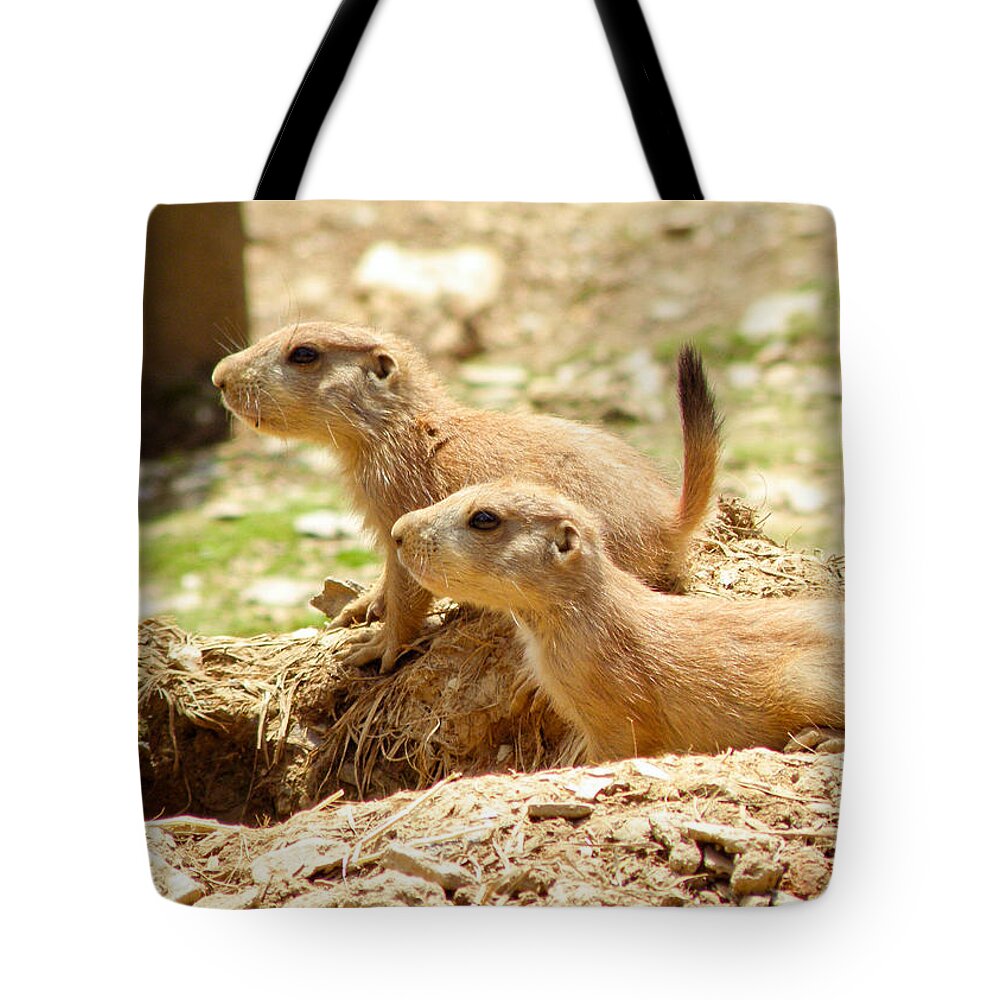Prairie Dog Tote Bag featuring the photograph Go West Young Man by Trish Tritz