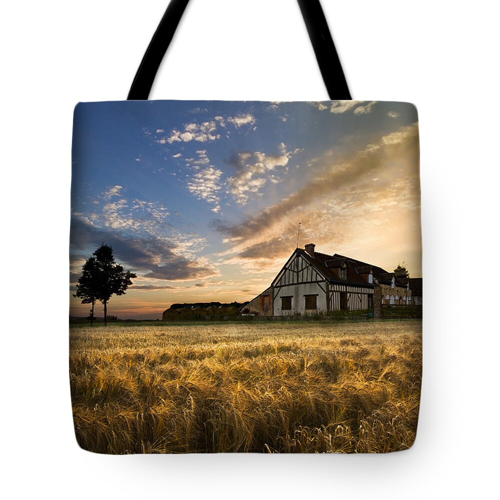 Appalachia Tote Bag featuring the photograph Golden Evening by Debra and Dave Vanderlaan