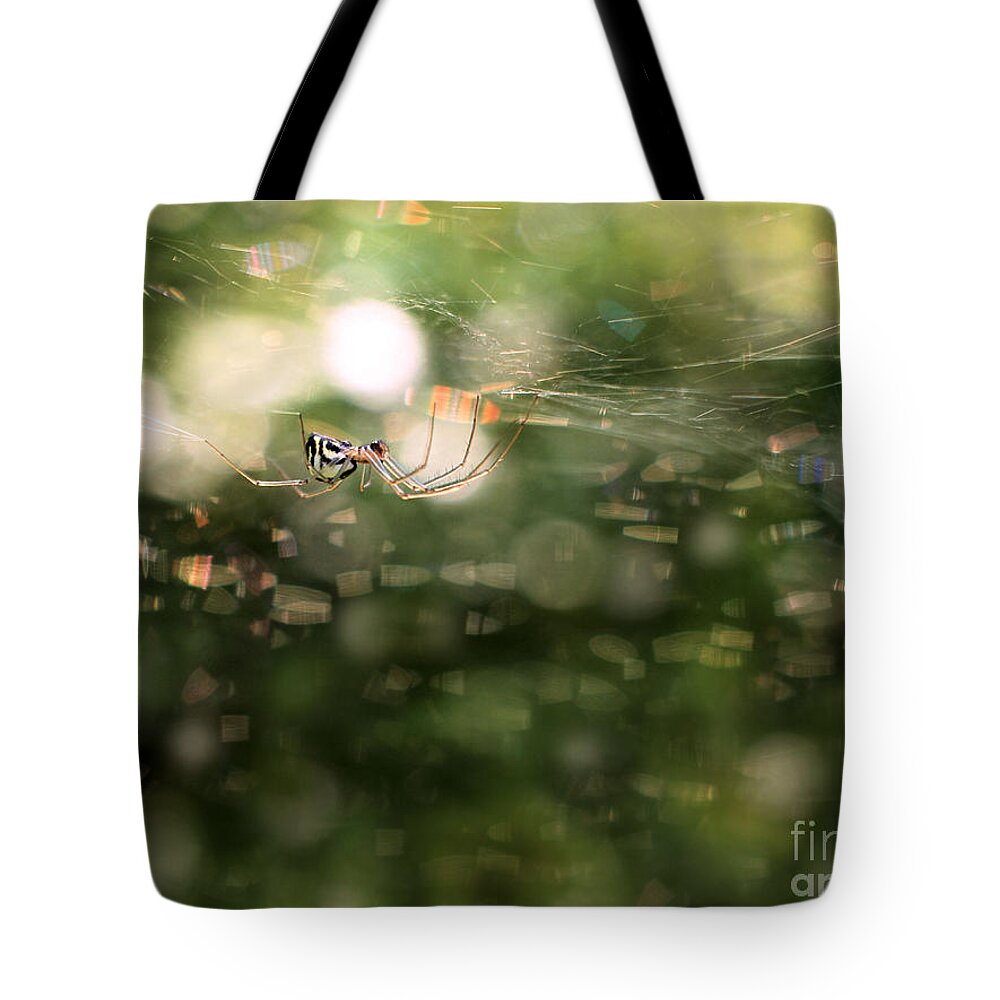 Golden Garden Spider Tote Bag featuring the photograph Golden Garden Spider and Web by Angie Rea