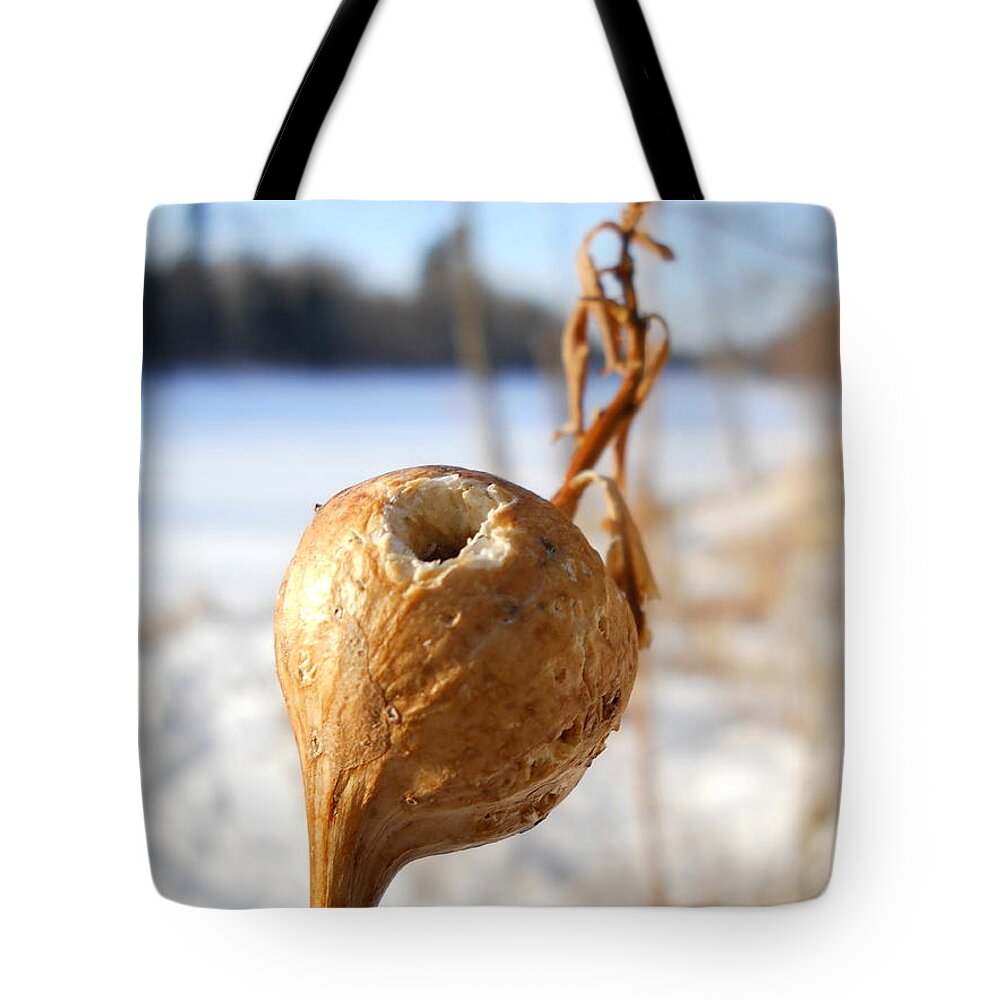 Close Up Tote Bag featuring the photograph Goldenrod Gall Hole by Kent Lorentzen