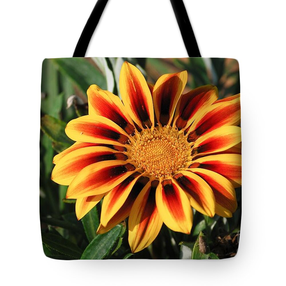 Orange Tote Bag featuring the photograph Gorgeous Beauty by Fotosas Photography