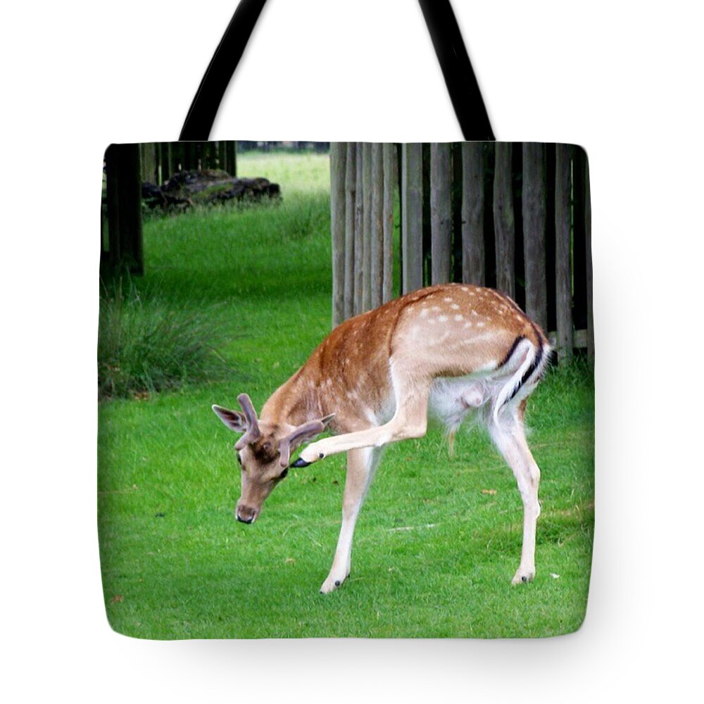 Scratched Tote Bags
