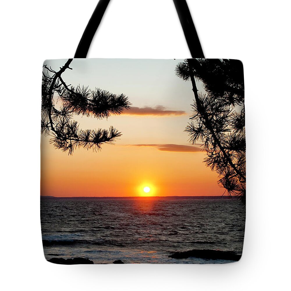 Art Tote Bag featuring the photograph Great Balls of Fire by Greg Fortier