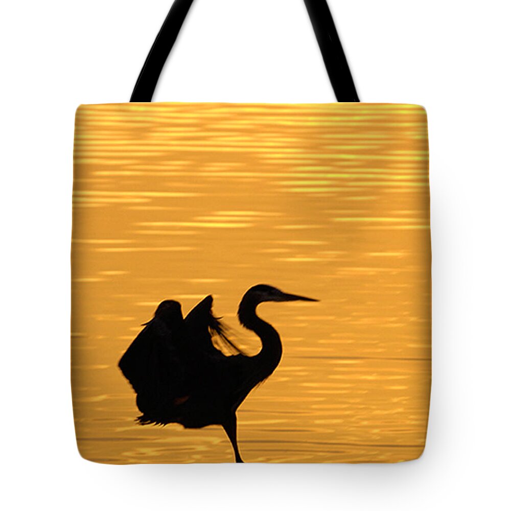 Great Blue Heron Tote Bag featuring the photograph Great Blue Heron Landing in golden Light by Randall Branham
