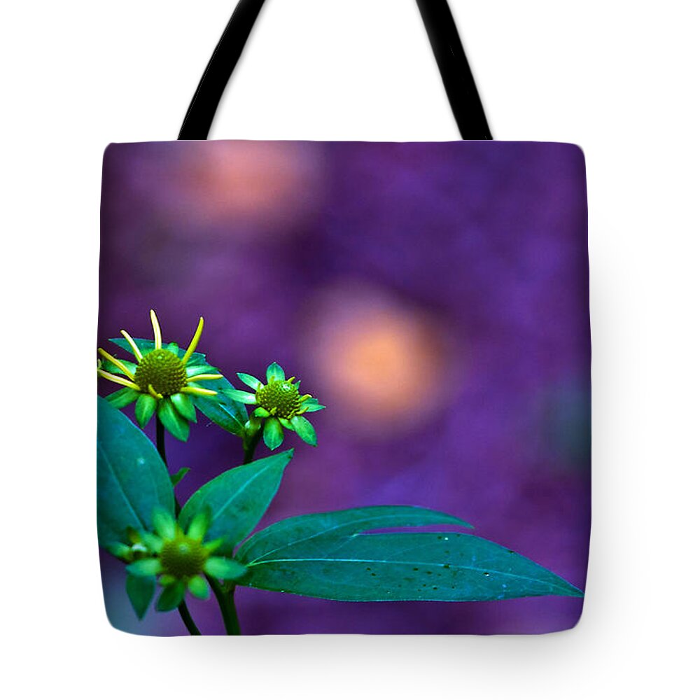Flower Tote Bag featuring the photograph Green And Turquoise by Ed Peterson