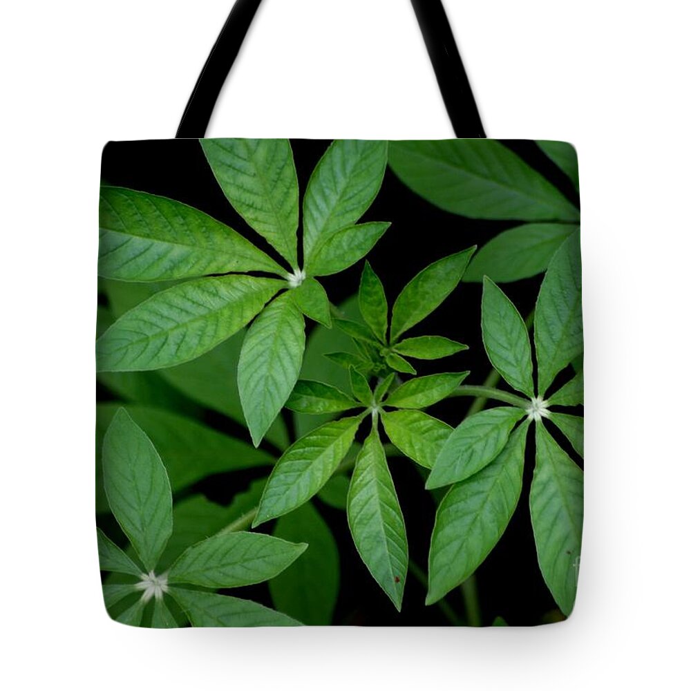 Green Tote Bag featuring the photograph Green Is Beautiful by Living Color Photography Lorraine Lynch