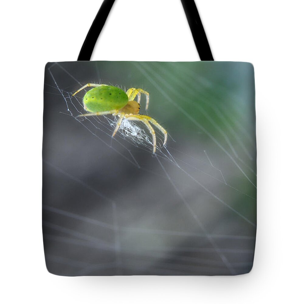 Yhun Suarez Tote Bag featuring the photograph Green Spider 1.0 by Yhun Suarez