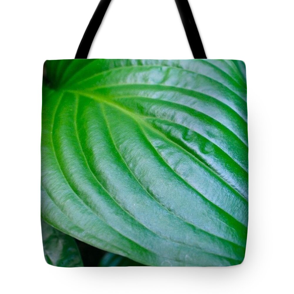 Leaf Tote Bag featuring the photograph Greenery by Justin Connor