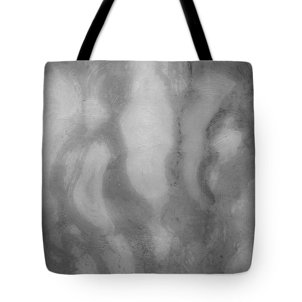 Grey Tote Bag featuring the photograph Grey Ghost 1 by Douglas Barnett