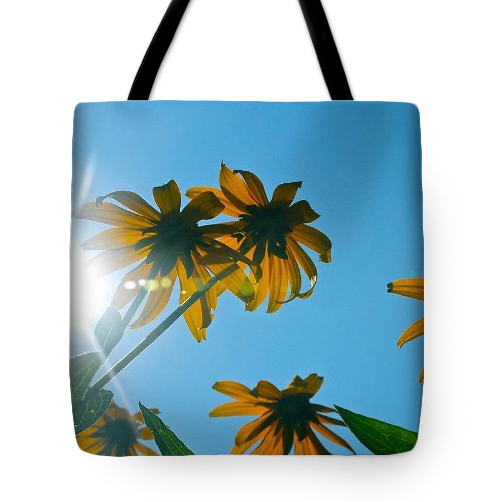 Flower Tote Bag featuring the photograph Ground Level by Justin Connor