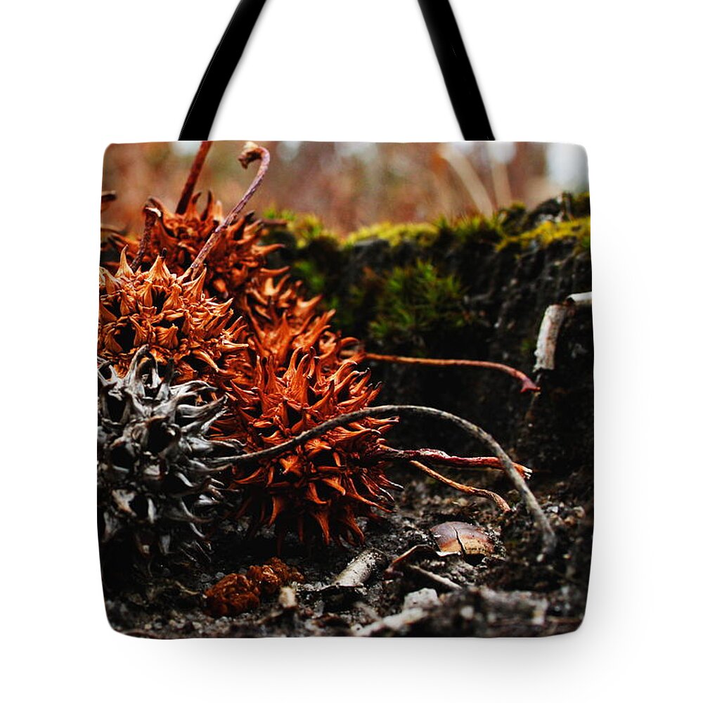 Tree Tote Bag featuring the photograph GumBalls by Karen Harrison Brown