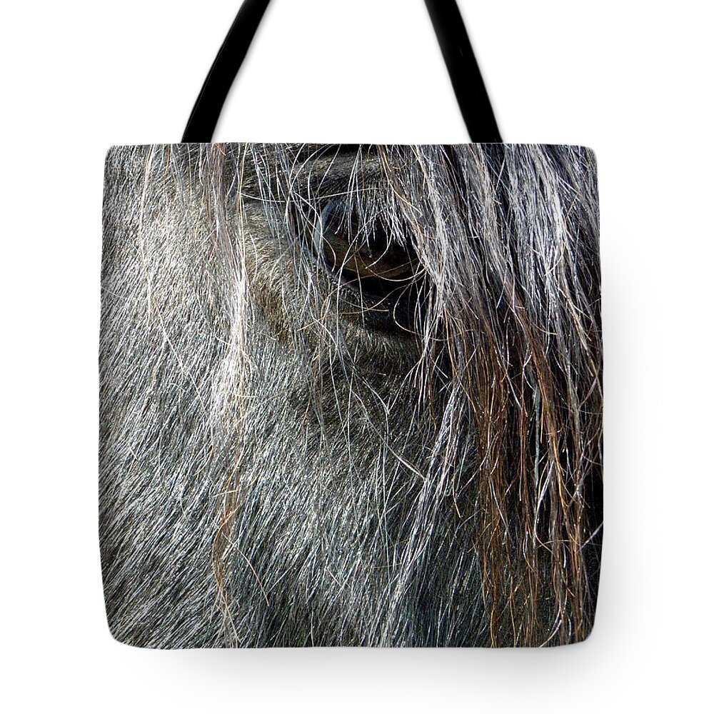 Gypsy Vanner Horse Tote Bag featuring the photograph Gypsy Eye by Kim Galluzzo